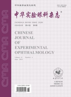 眼科研究